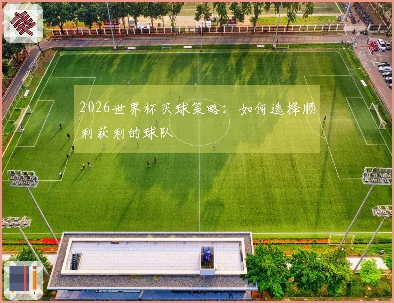 2026世界杯买球策略：如何选择顺利获利的球队
