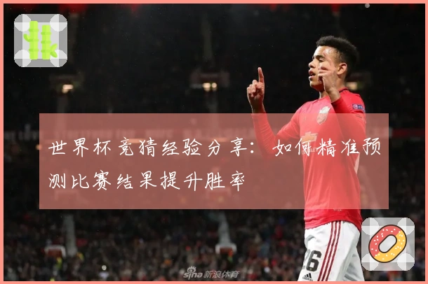 世界杯竞猜经验分享：如何精准预测比赛结果提升胜率