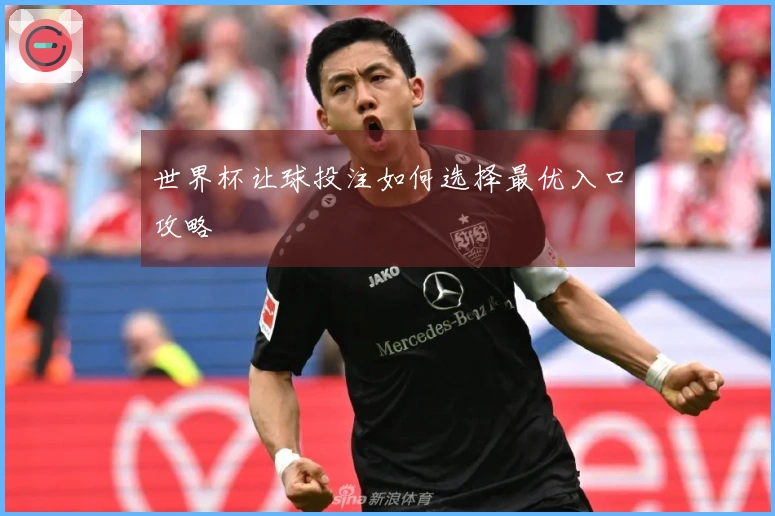 世界杯让球投注如何选择最优入口攻略