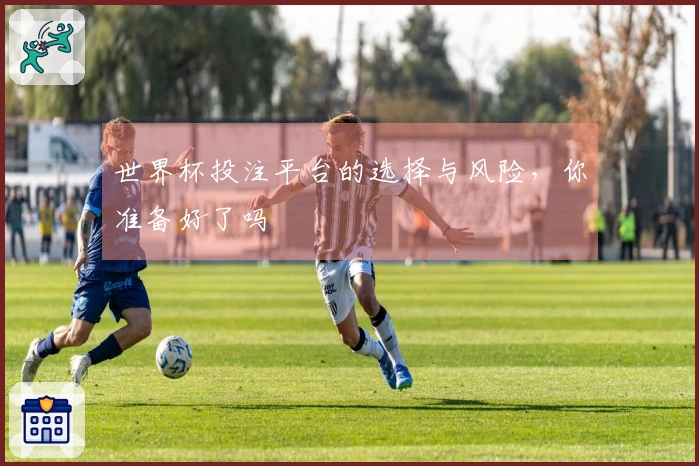 世界杯投注平台的选择与风险，你准备好了吗