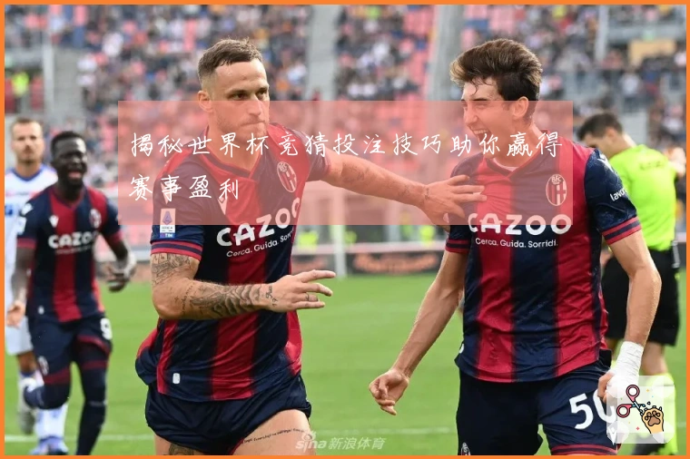 揭秘世界杯竞猜投注技巧助你赢得赛事盈利