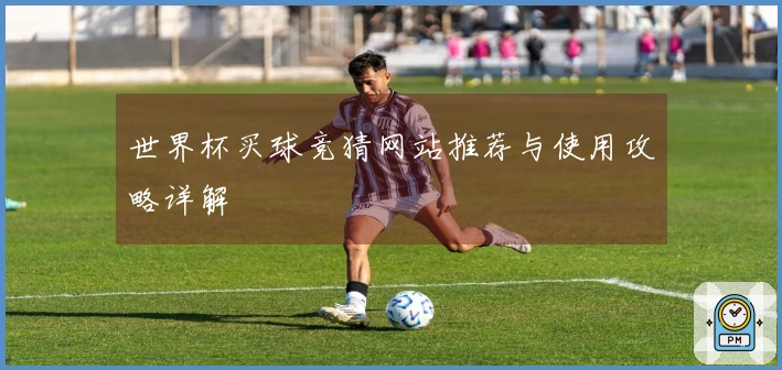世界杯买球竞猜网站推荐与使用攻略详解