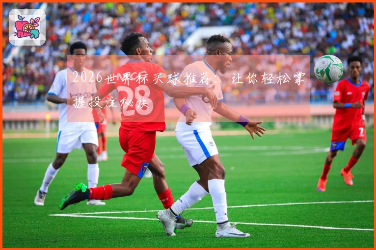 2026世界杯买球推荐：让你轻松掌握投注秘诀