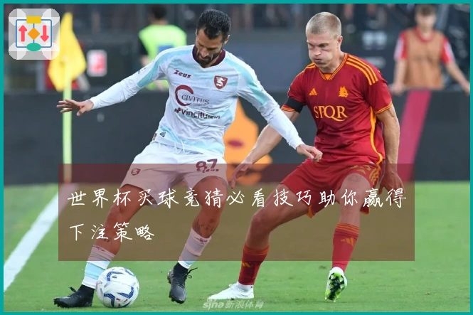 世界杯买球竞猜必看技巧助你赢得下注策略